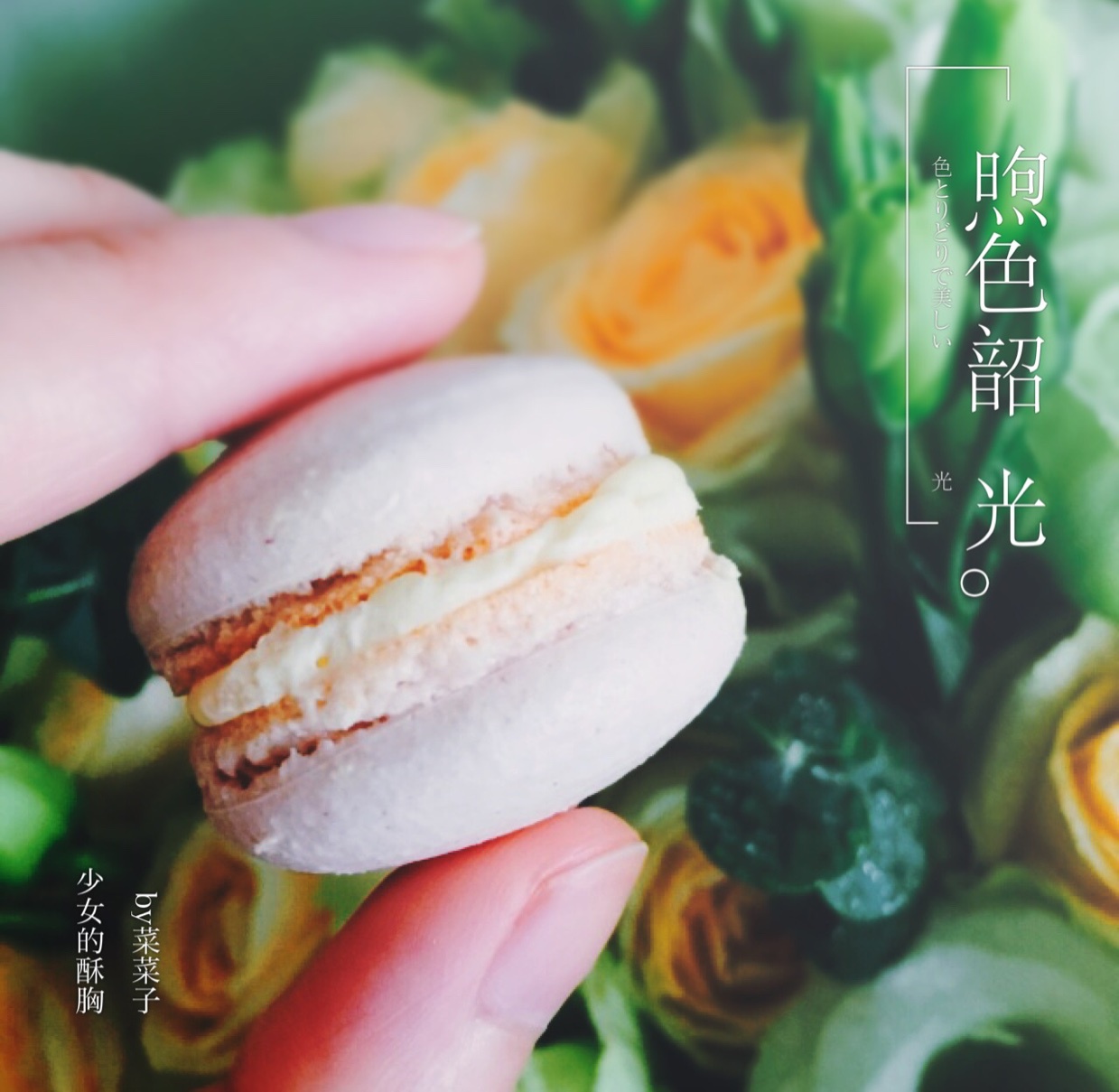 意式马卡龙