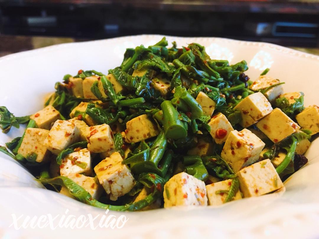 香椿拌豆腐