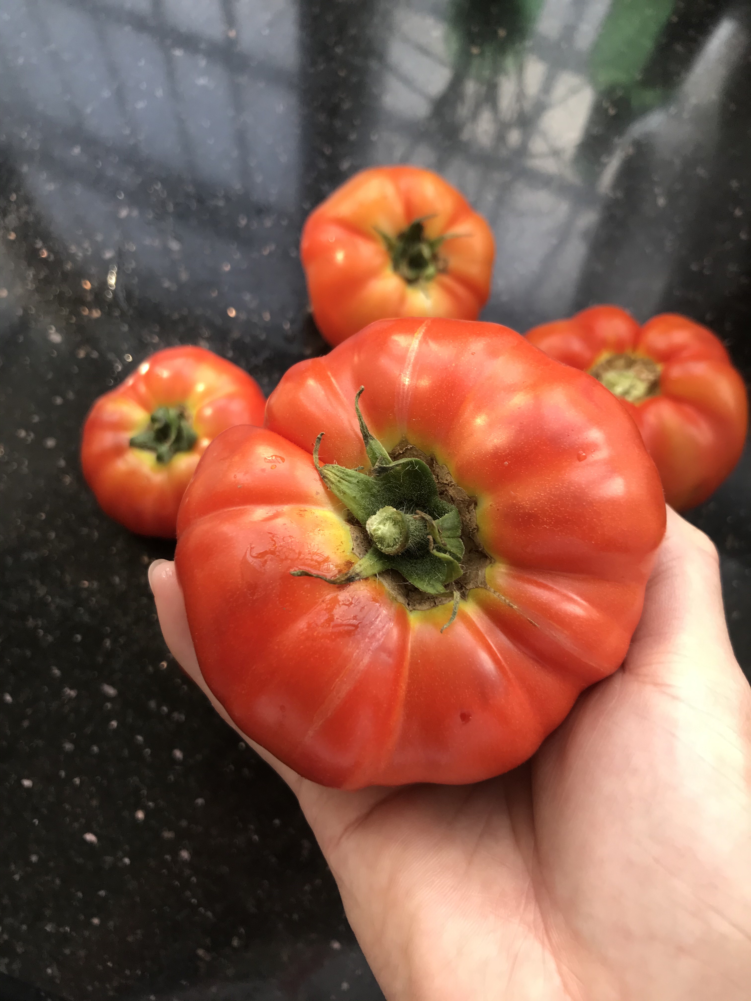 番茄  这不是菜谱
