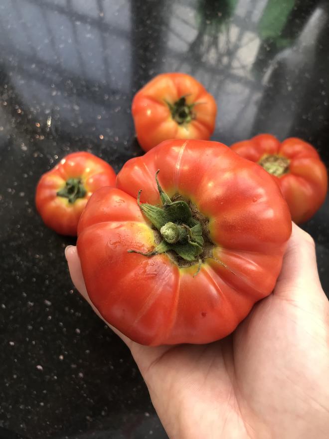 番茄  这不是菜谱的做法