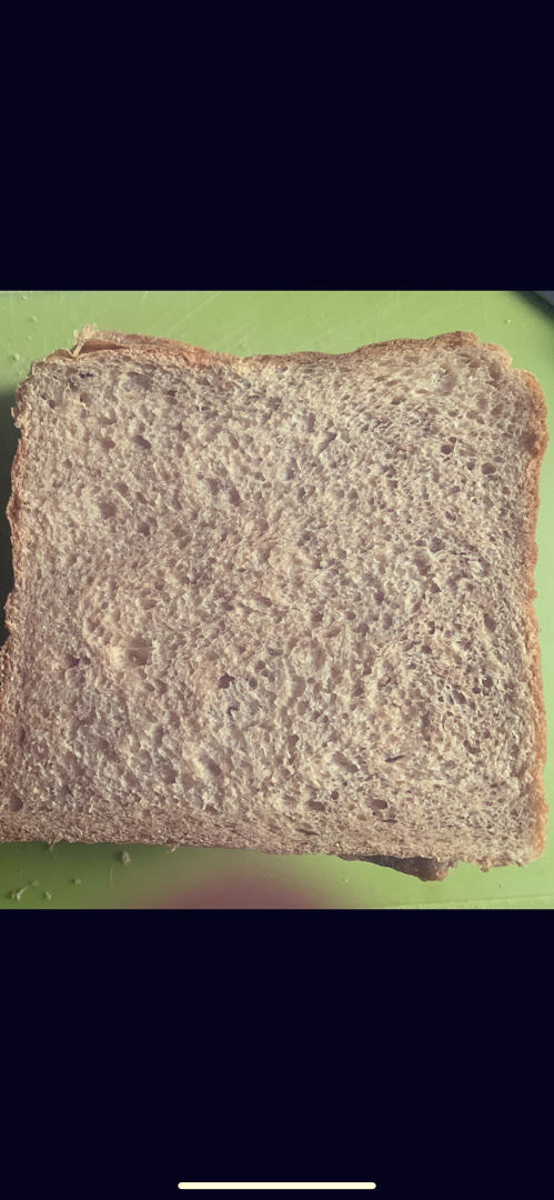 黑麦吐司 70%黑麦 波兰种