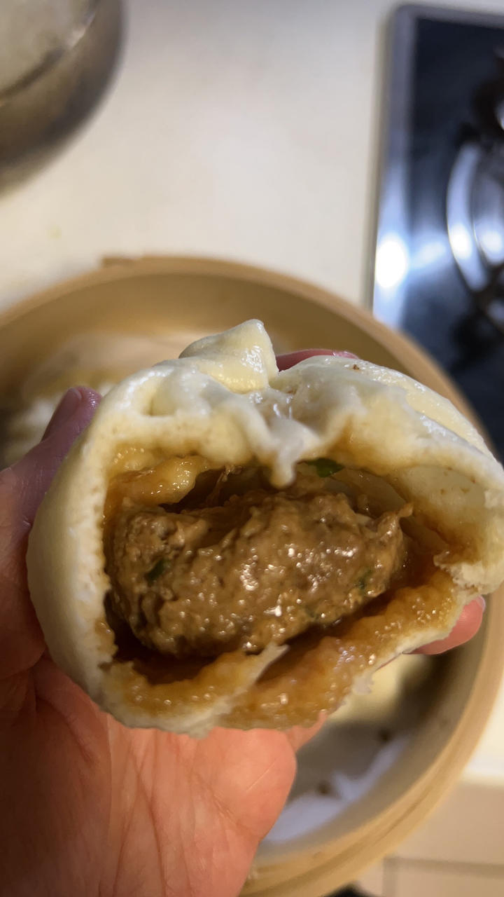 一次发酵肉包子