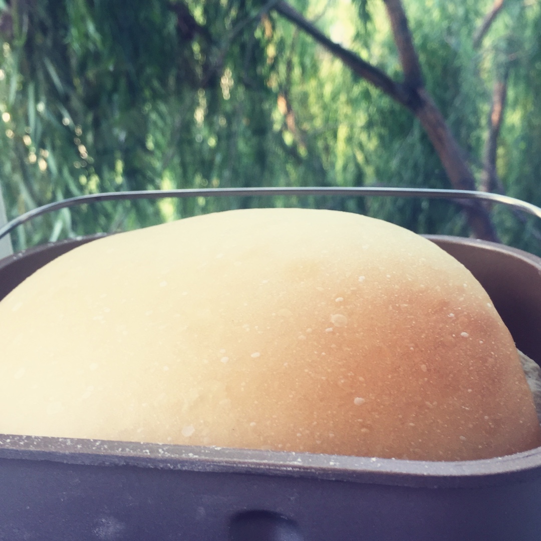 酸奶面包(直接法、省时、超松软)