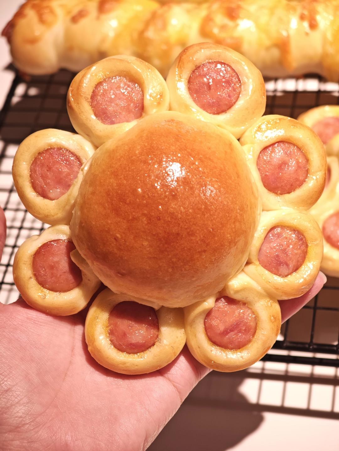 万能液种法台式面团新食谱-狮子番茄肉松包