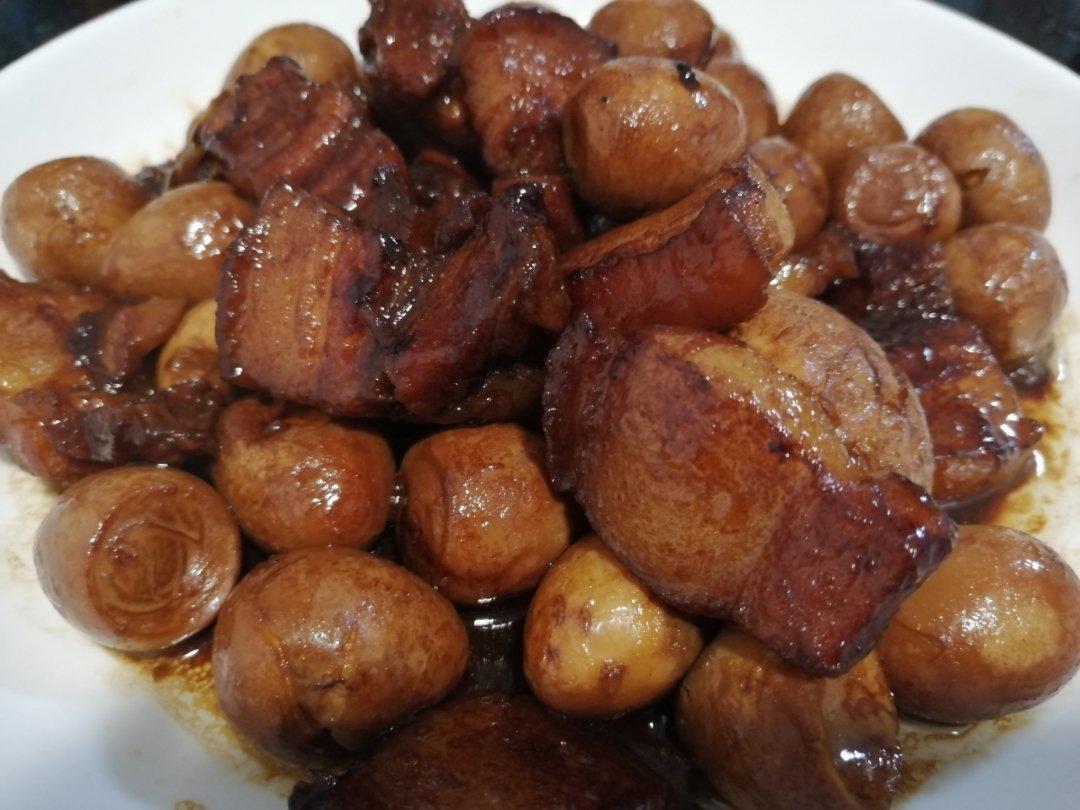 加了鹌鹑蛋后，这盘红烧肉，美味的逆天啦——鹌鹑蛋烧肉（孔瑶食谱）