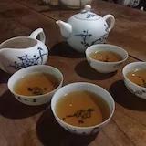 小星星请多多关照