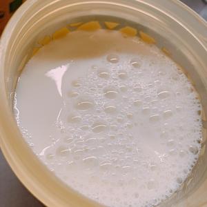 牛奶届的爱马仕！大概是全网最偷懒最简单的冰博克牛奶提纯法的做法 步骤4