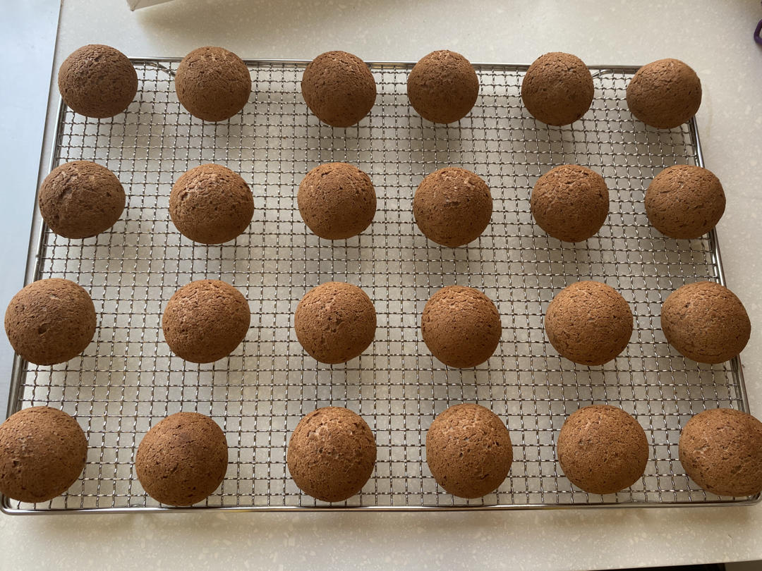 系列二 可可蜜豆恐龙蛋·麻薯面包·麻薯包 自己做了1000➕的私人配方
