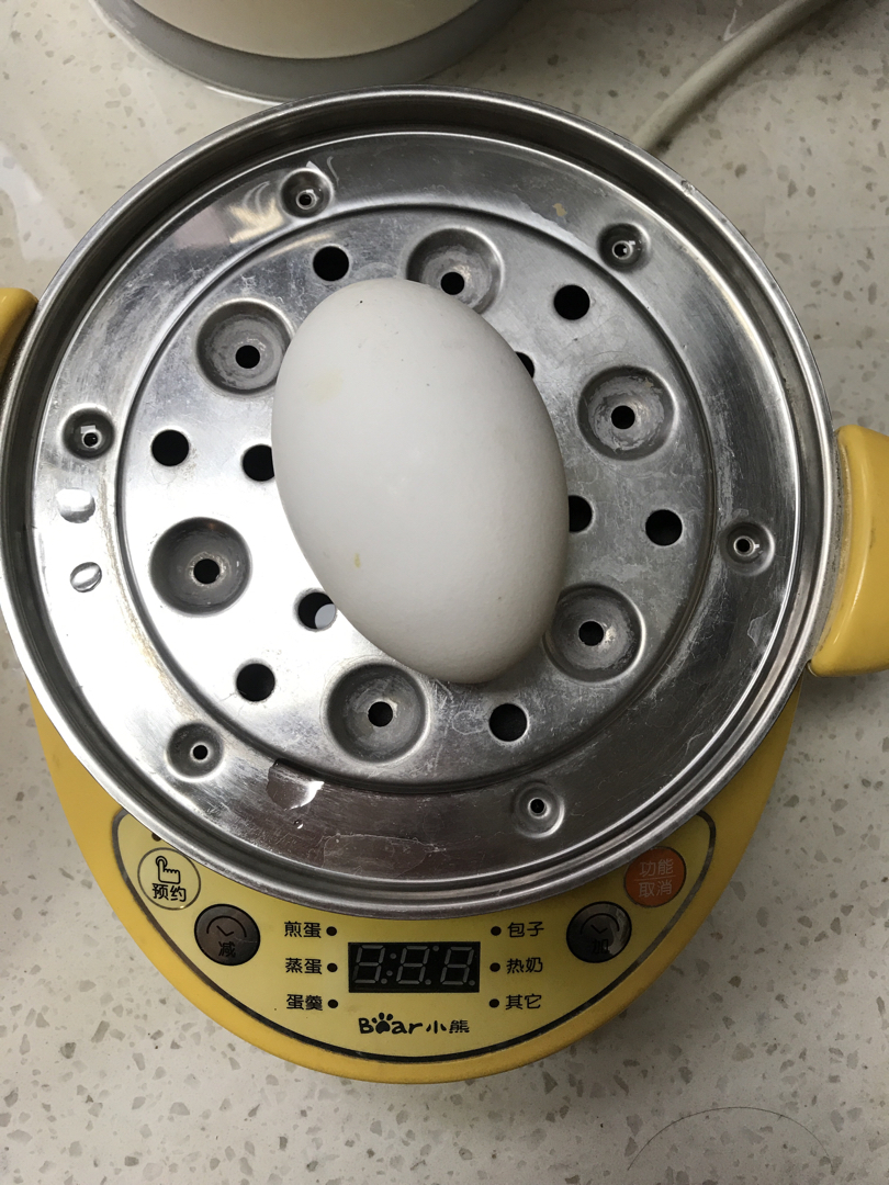 水煮鹅蛋
