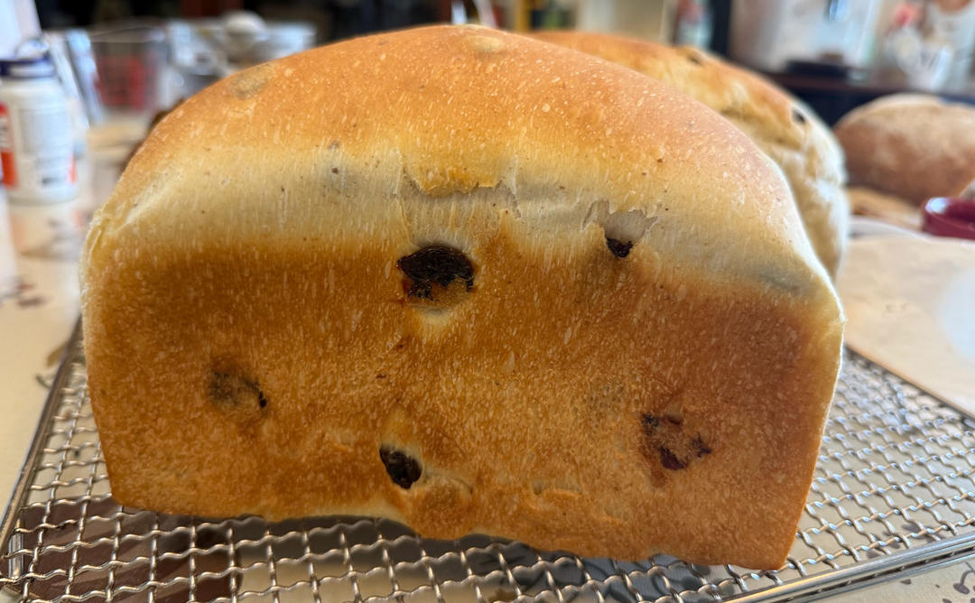 🪭鲁邦弃种•肉桂提子面包「Discard」