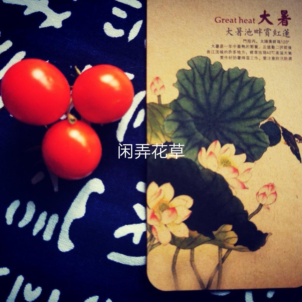 小满 ～大暑  益肾安心粥