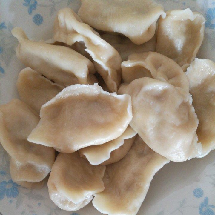 白菜鲜肉水饺