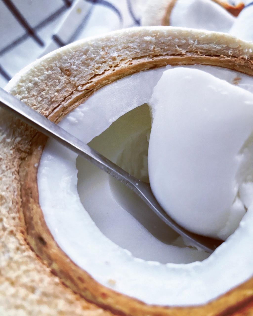 QQ弹弹椰子冻「厨娘物语」