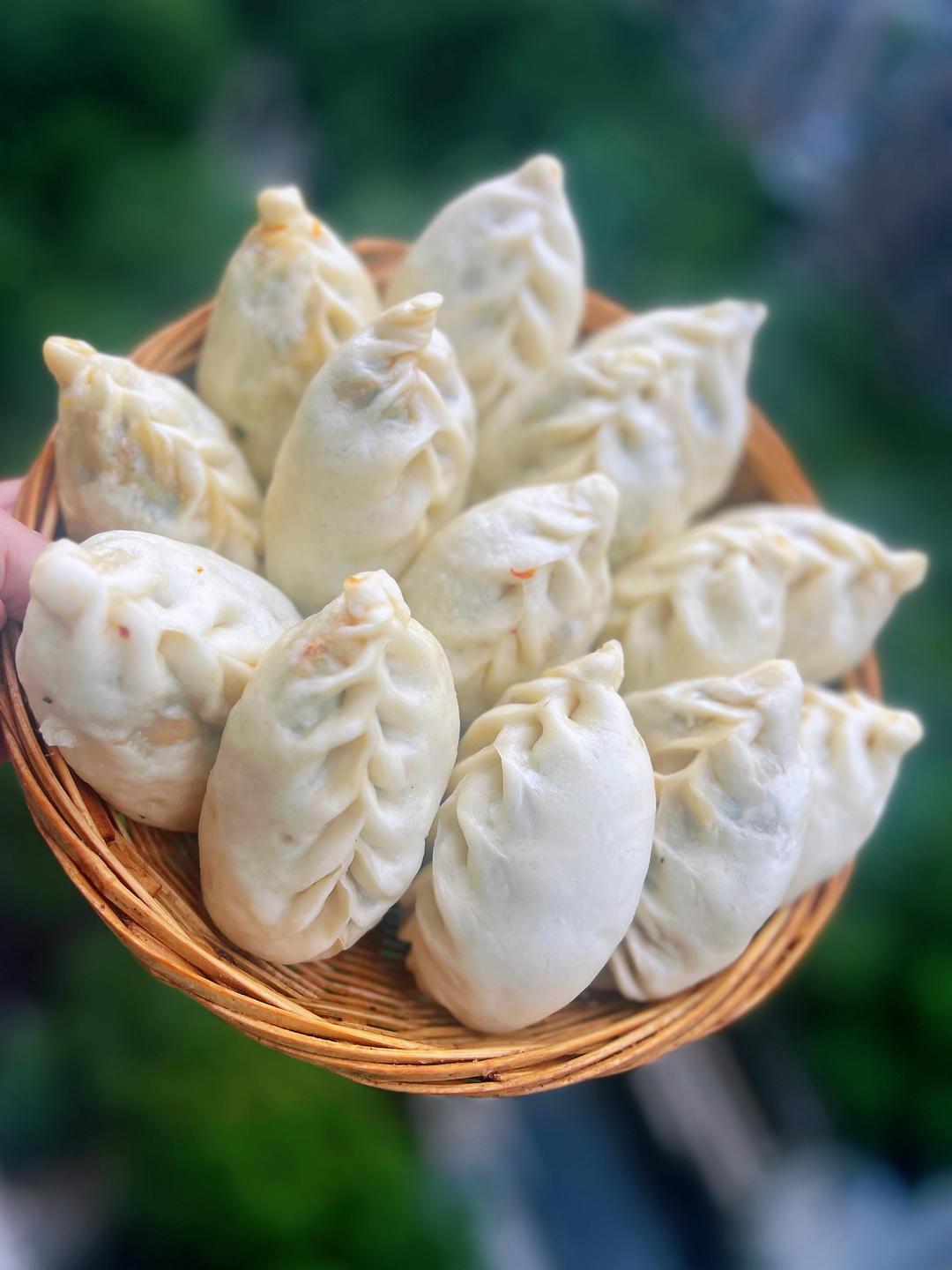 三荤七素菜包子