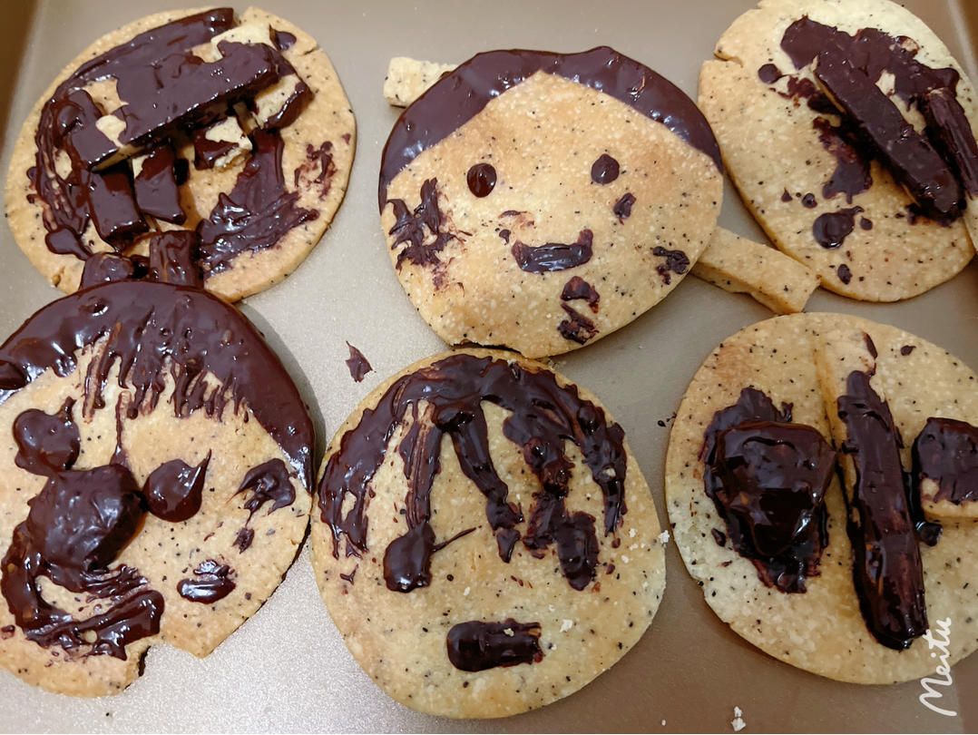 网红沙布蕾曲奇小饼干