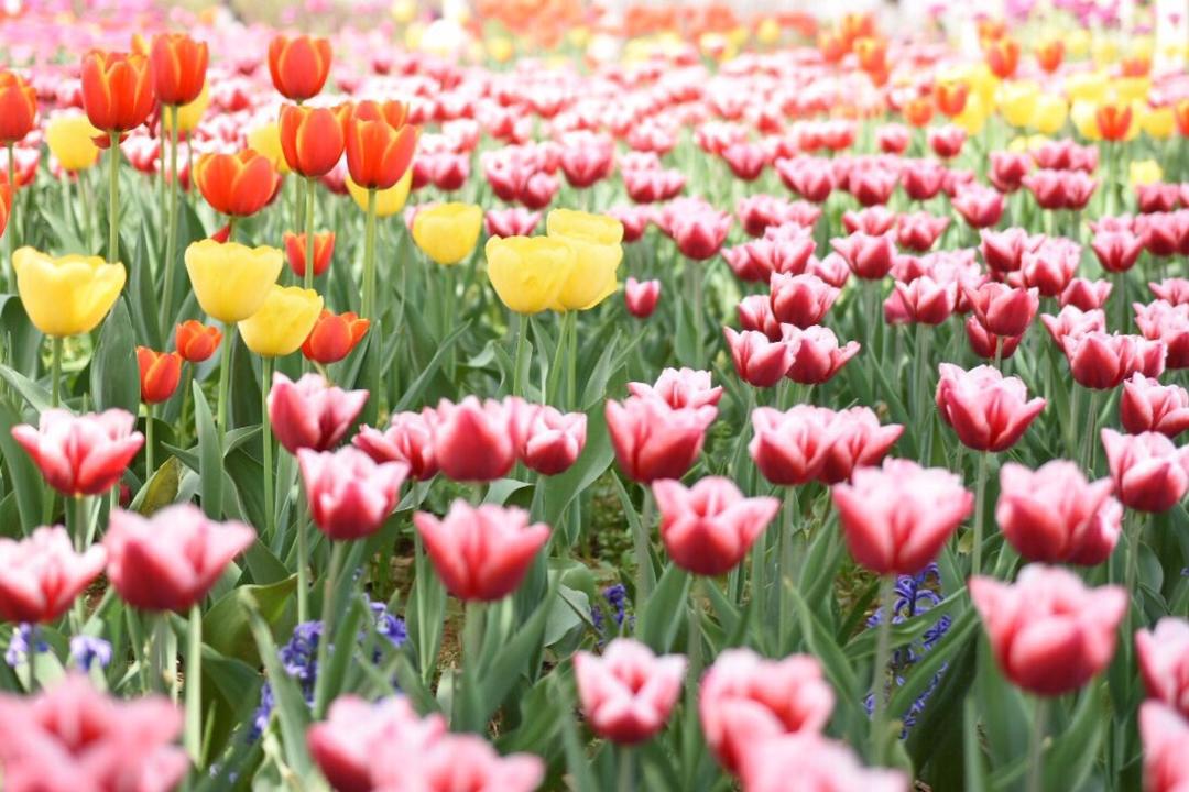 停下脚步👣，欣赏身边的风景