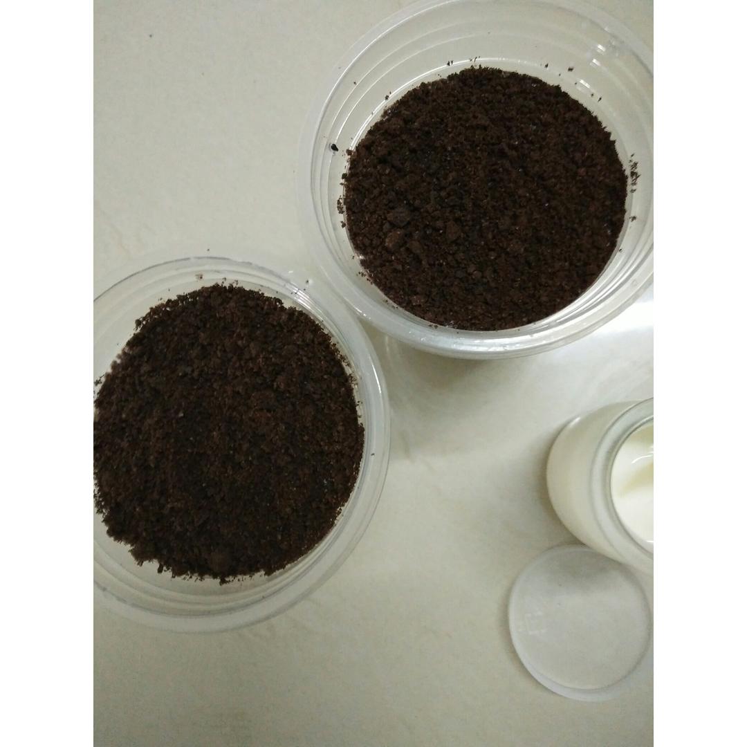 盆栽酸奶