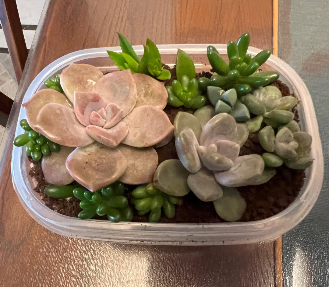 低糖不腻的奥利奥咸奶油蛋糕盒子
