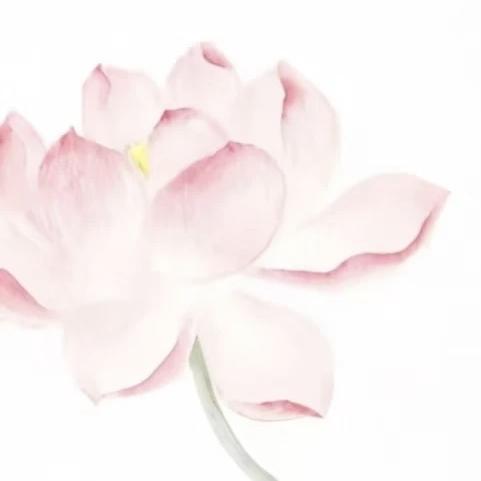蜗牛de厨房