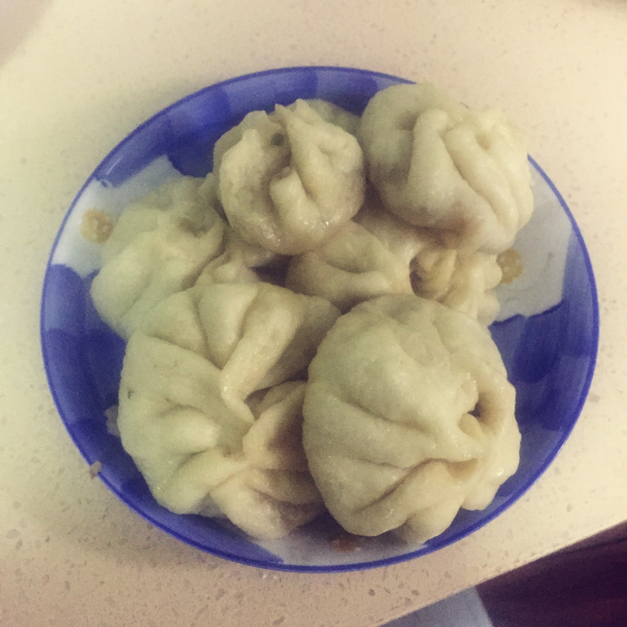 家庭手工肉馅大包子