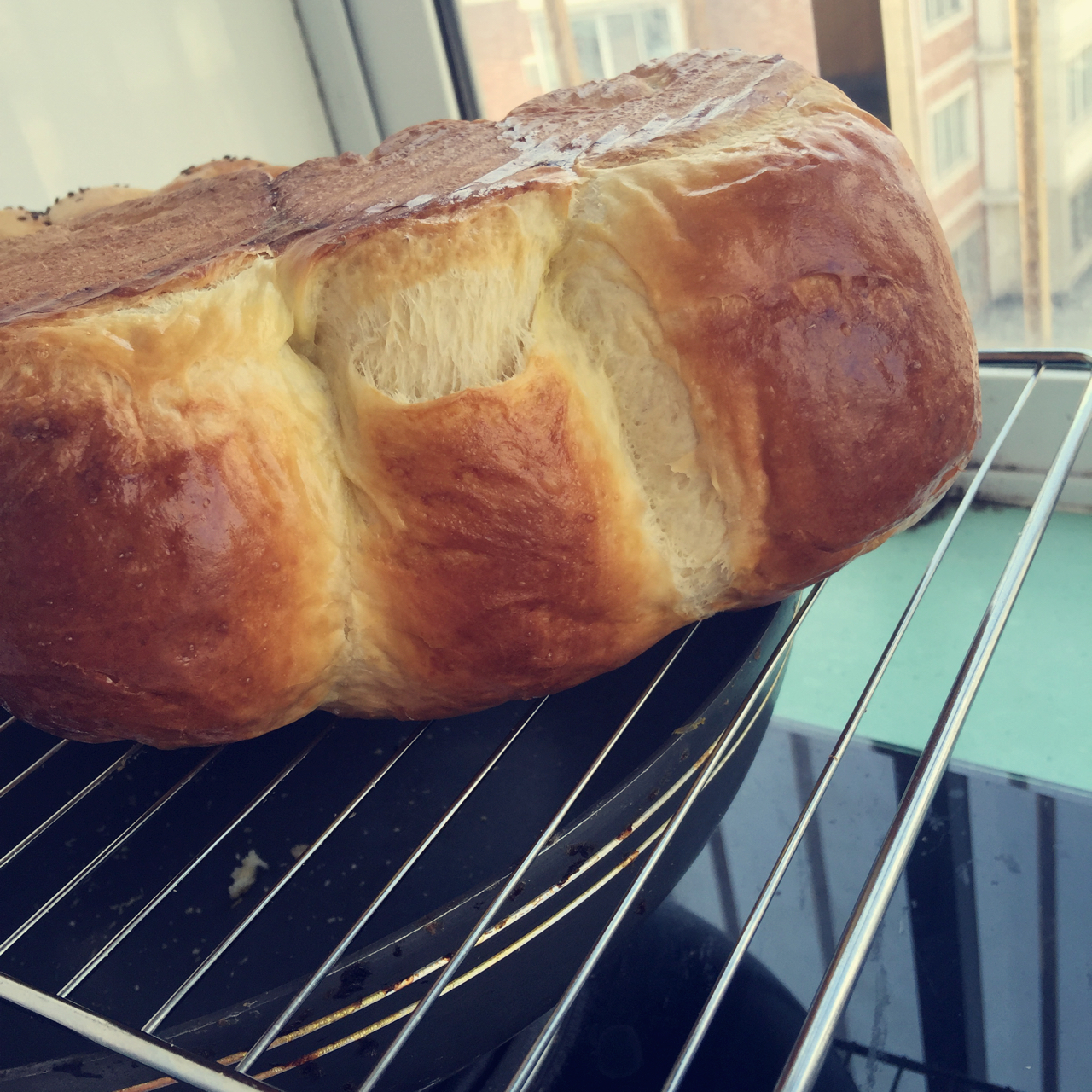 基础面包制作 Basic Bread (Loaf&Roll)