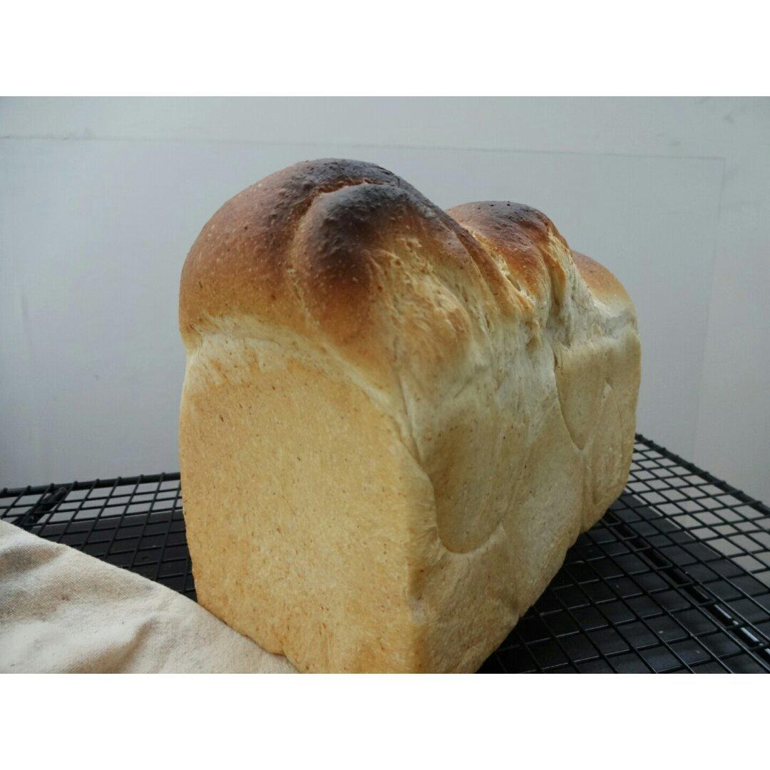全麦吐司（70%冷藏中种法）