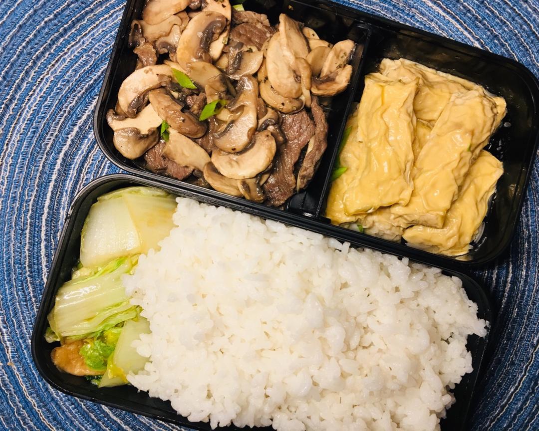 今日便当
