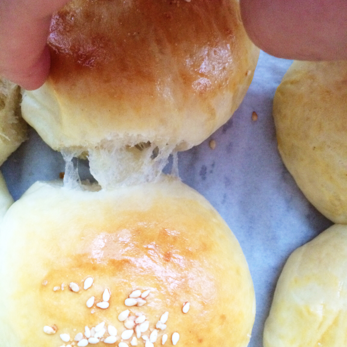 奶油奶酪小餐包