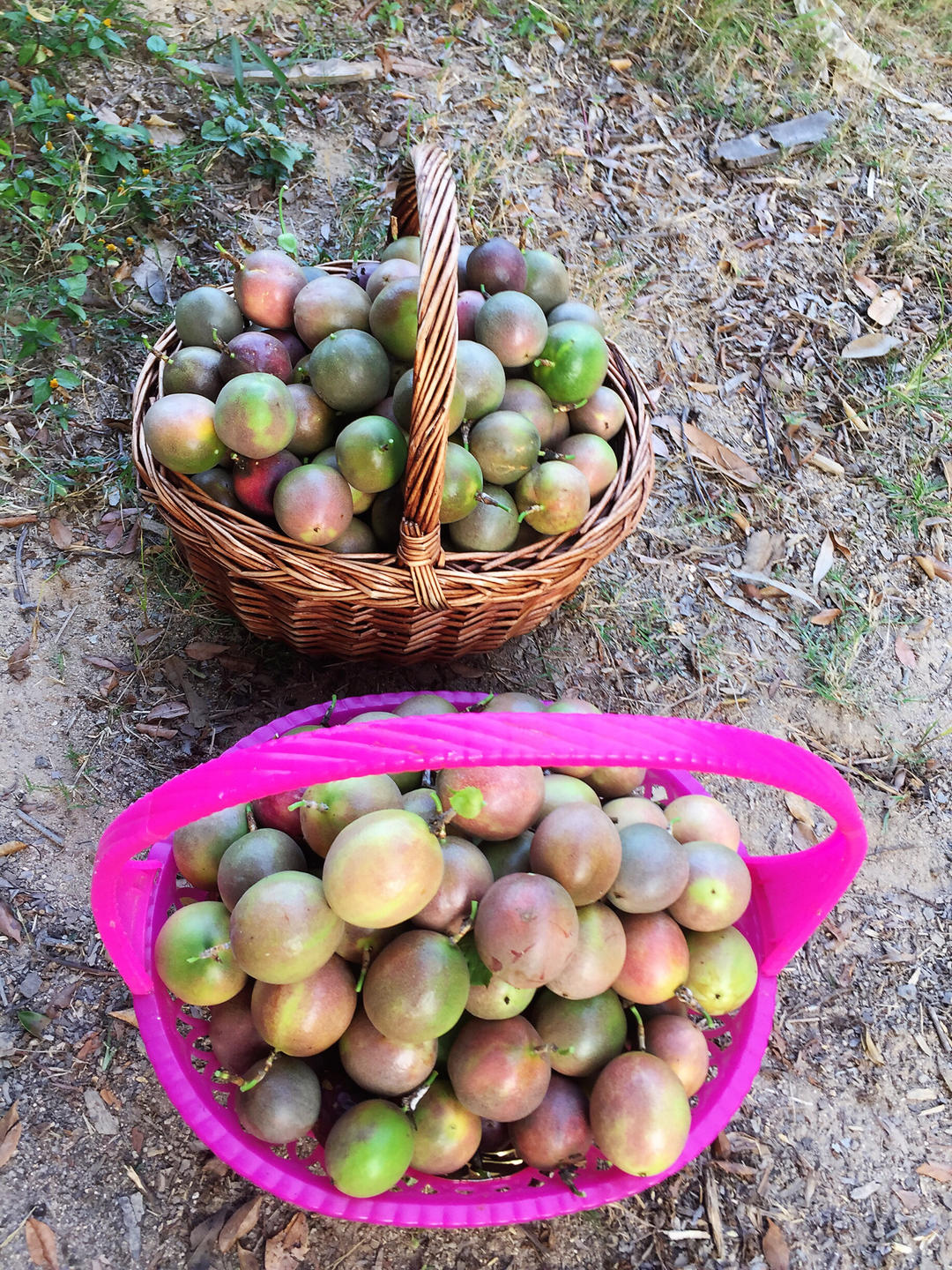 早餐•2019年10月3日