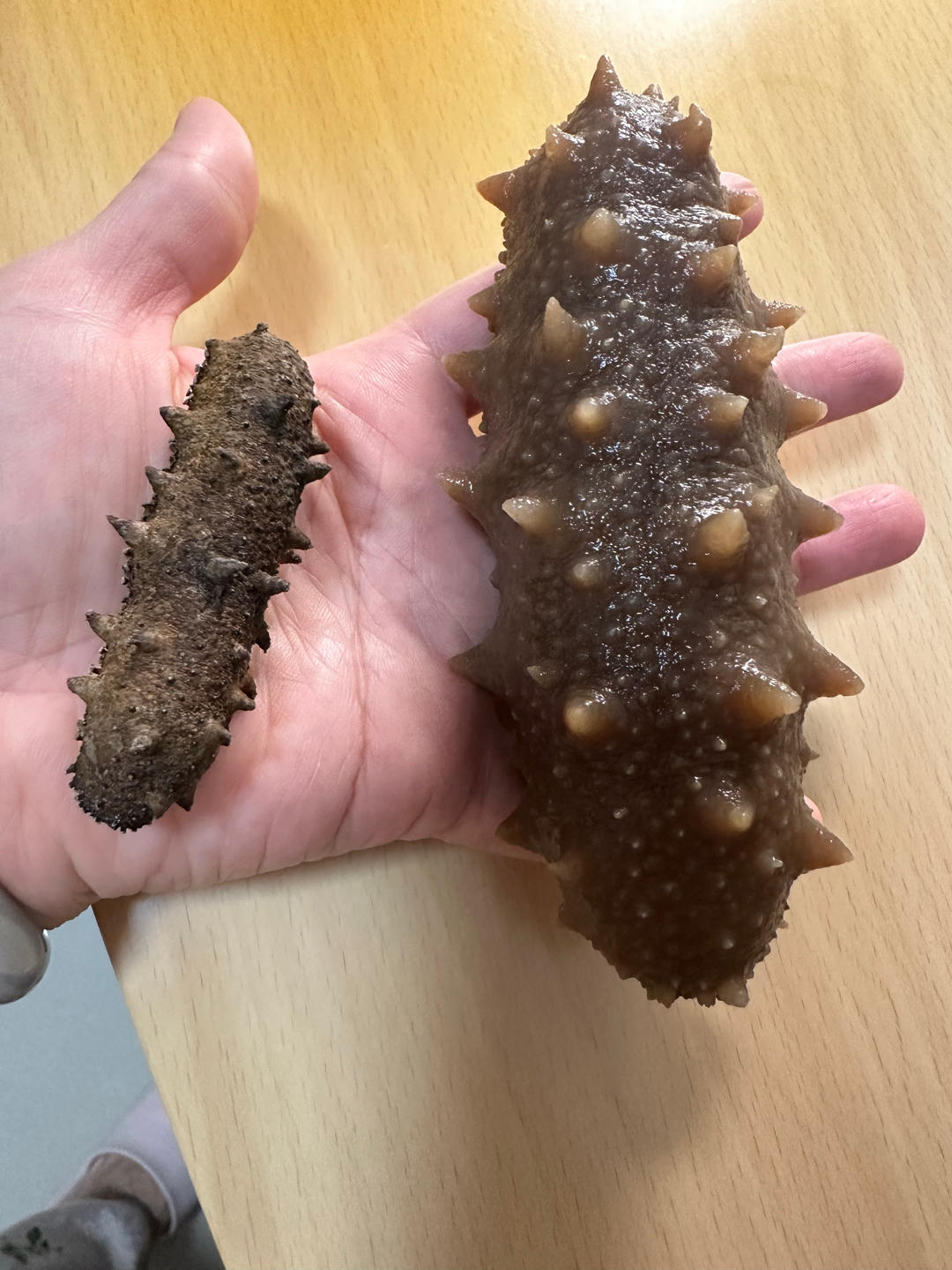 堂妈教你发海参