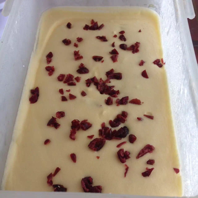 自制哈根达斯风味的冰淇淋