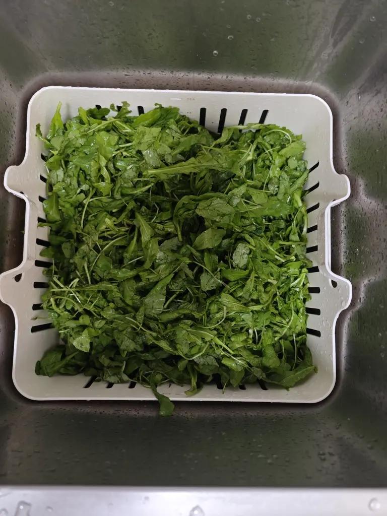 玉米面菜团子