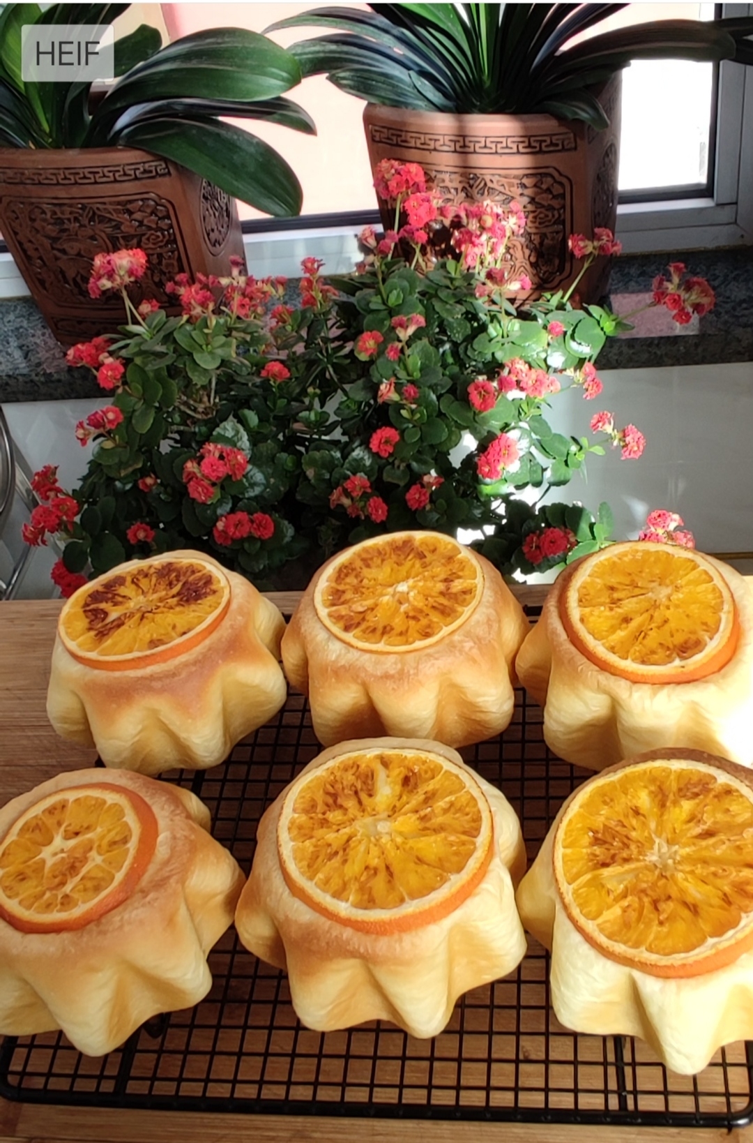 🍊香橙乳酪🌟星星面包｜高颜值｜清新柑橘