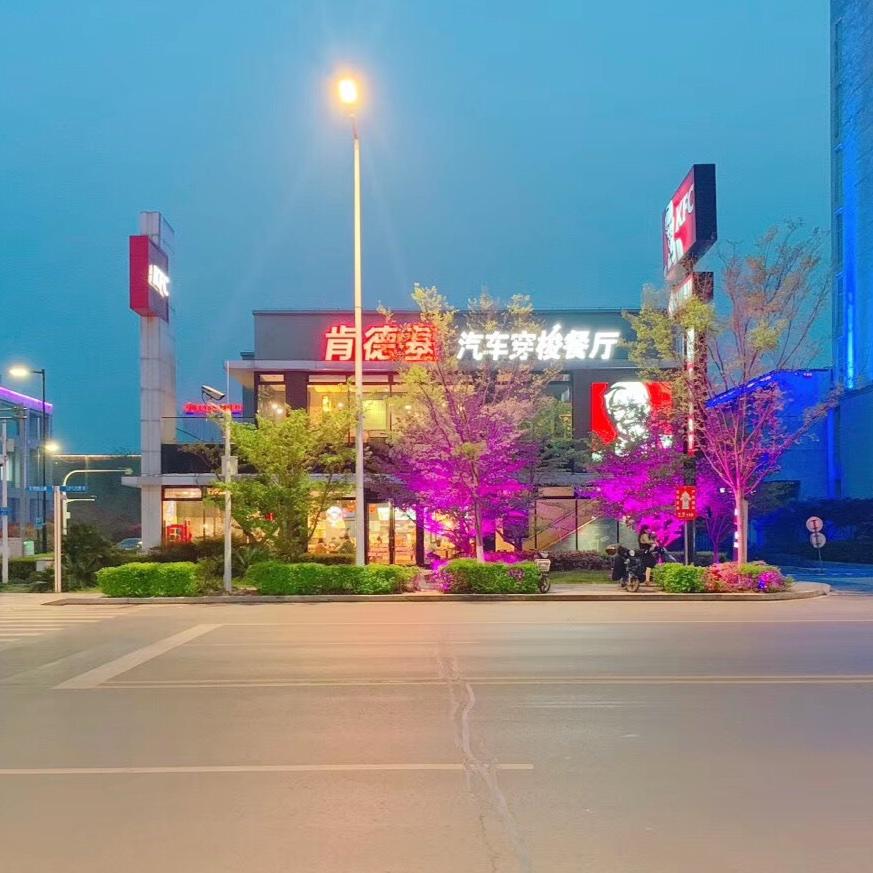 _总有刁民想害朕_