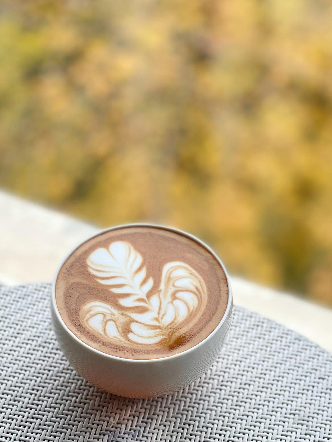 卓宝的自学拉花记录📝