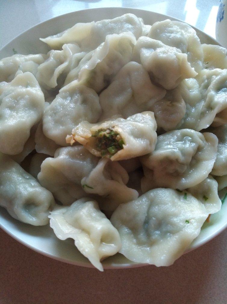 踏月飞鸿做的茴香饺子