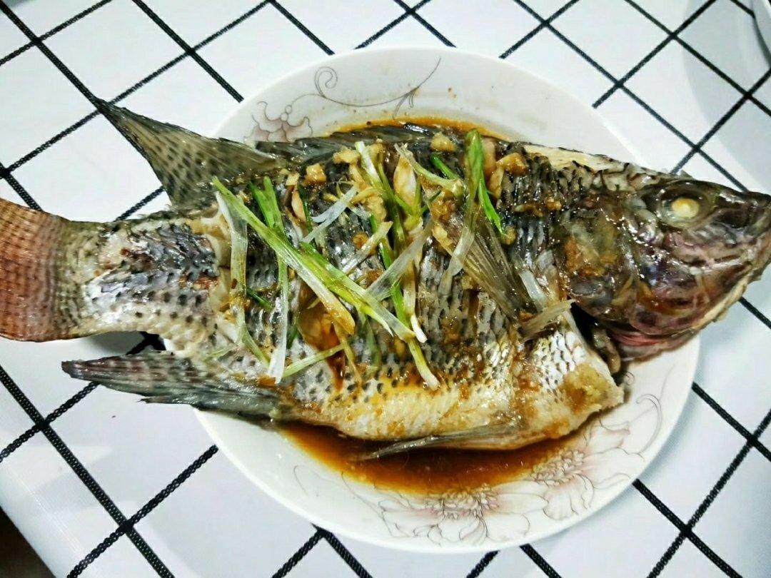 过年餐桌上少不了的菜——清蒸罗非鱼