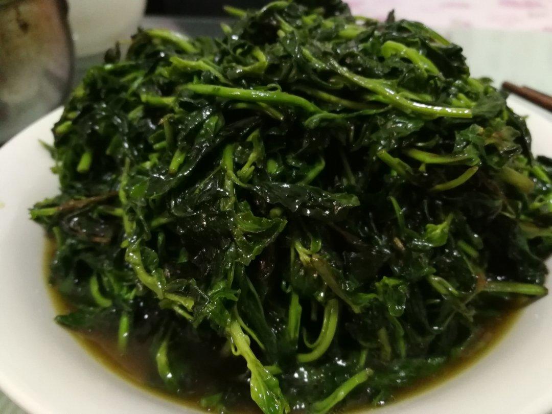 清炒枸杞头