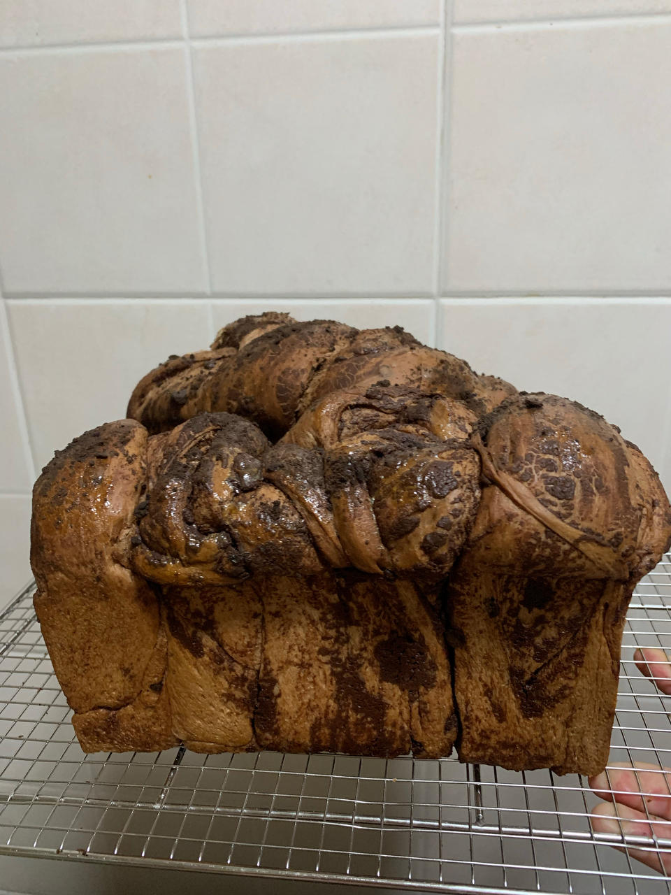 雪山巧克力吐司（中种）