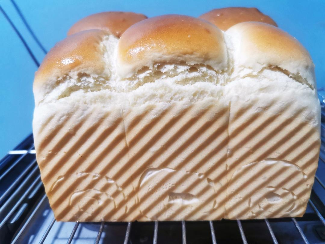 酸奶吐司（100%中种法）可以吃到酸奶的吐司