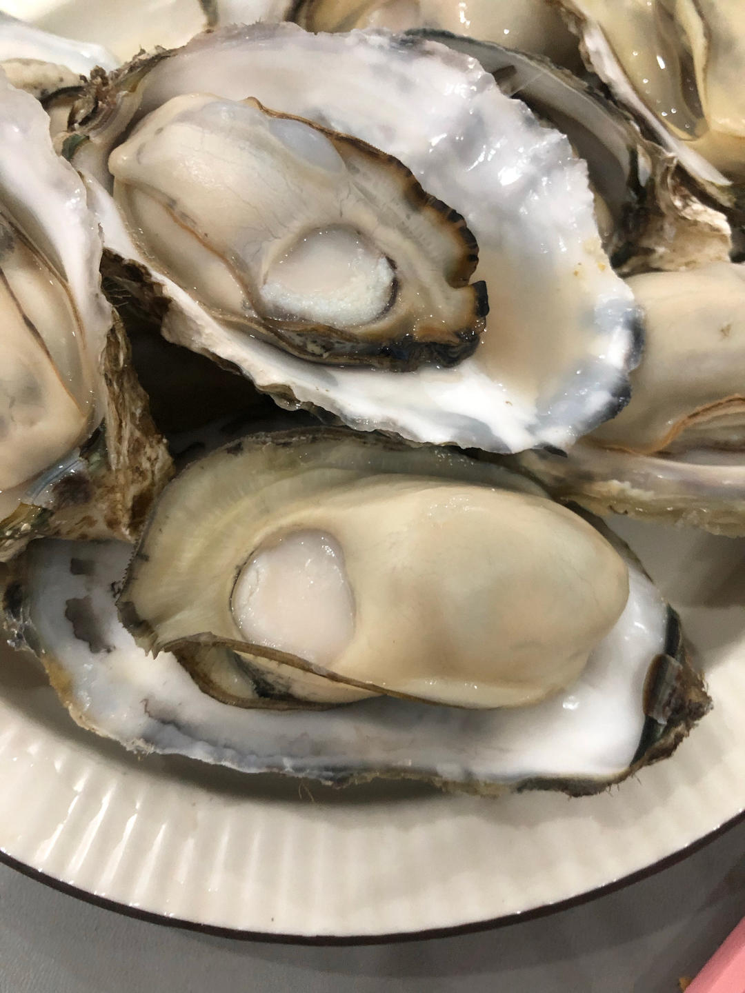 蒸汽小海鲜+白米粥｜北鼎多功能火锅