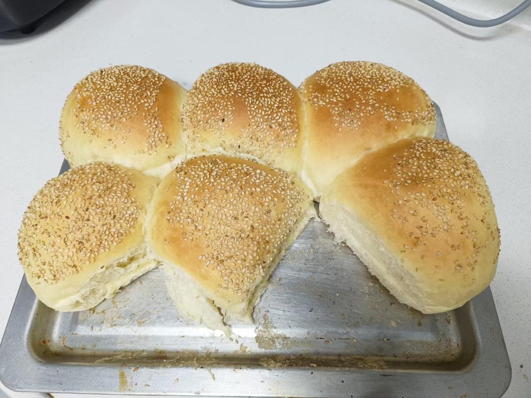 超柔软的汉堡胚（波兰种）