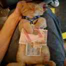 手机用户9490_arum