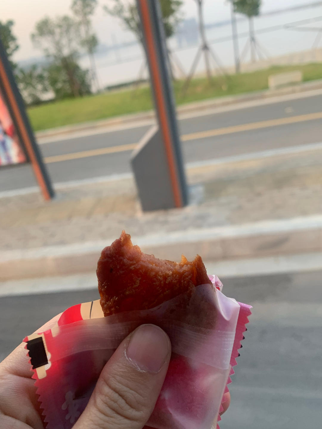 苹果干，酸甜软糯