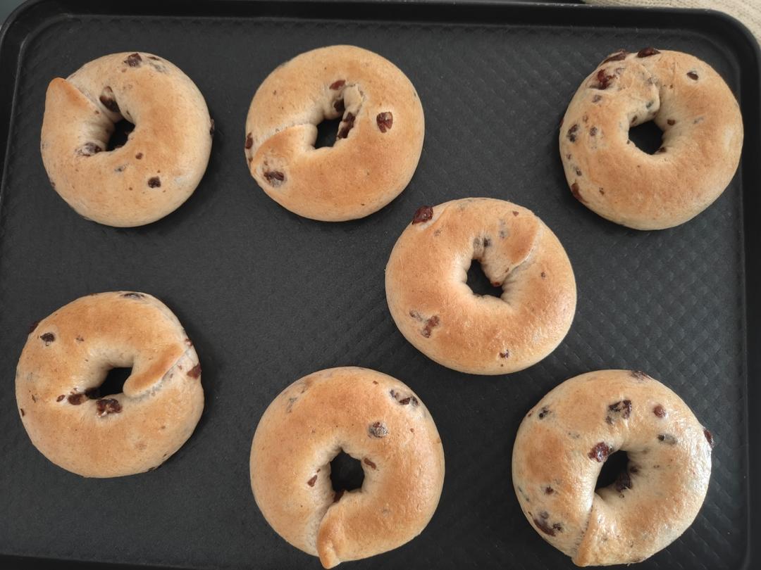 来吃圈圈吧！——全麦蔓越莓贝果