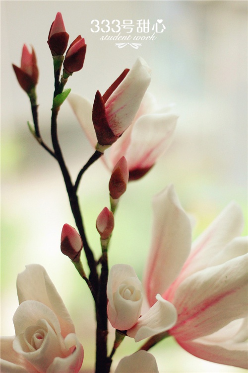 学生翻糖花作品