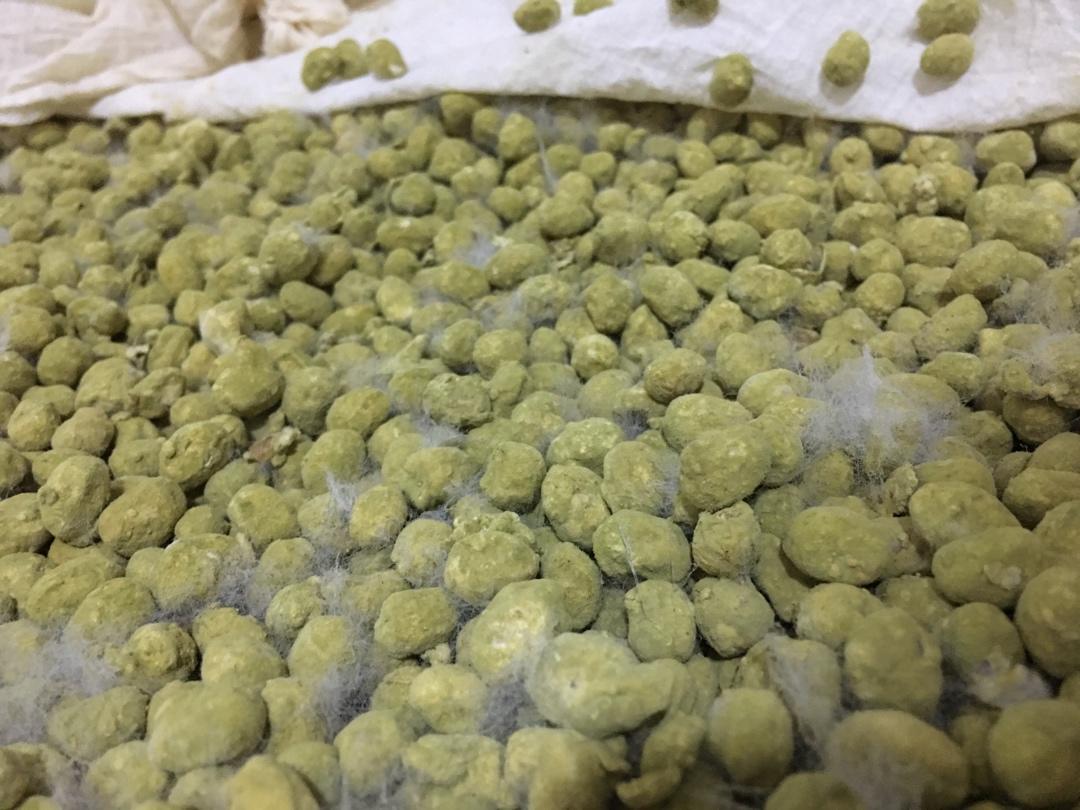 自制酱油/酿酱油