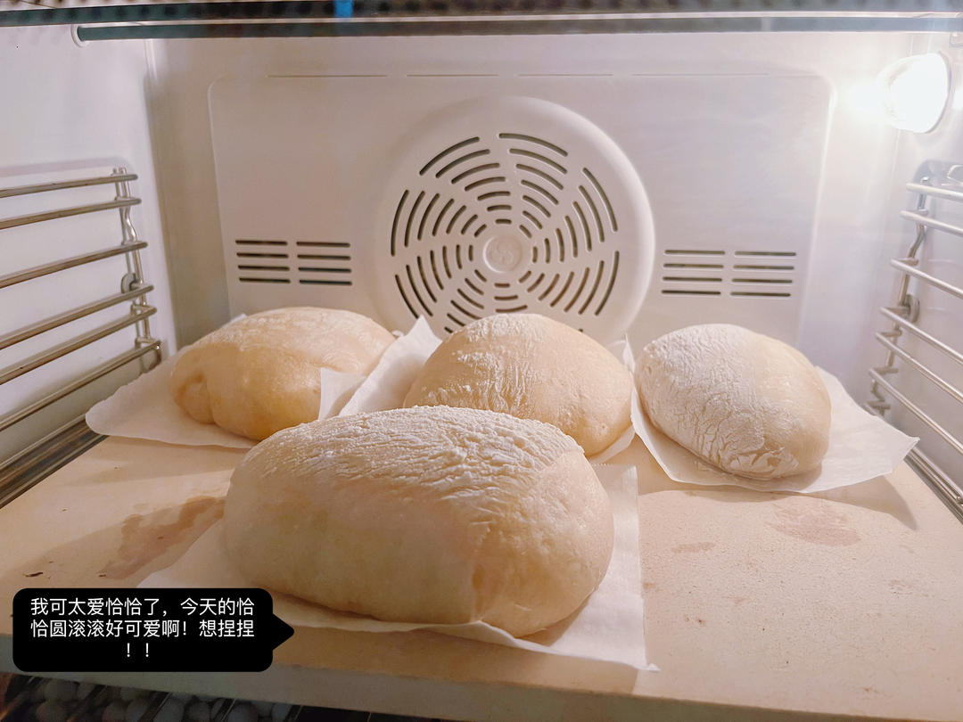 恰巴塔面包  Ciabatta