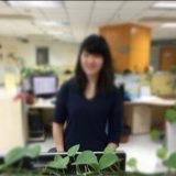 肉骨茶