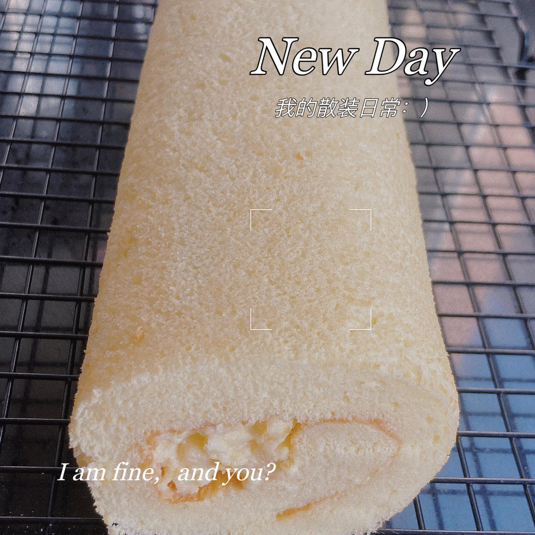 原味基础蛋糕卷